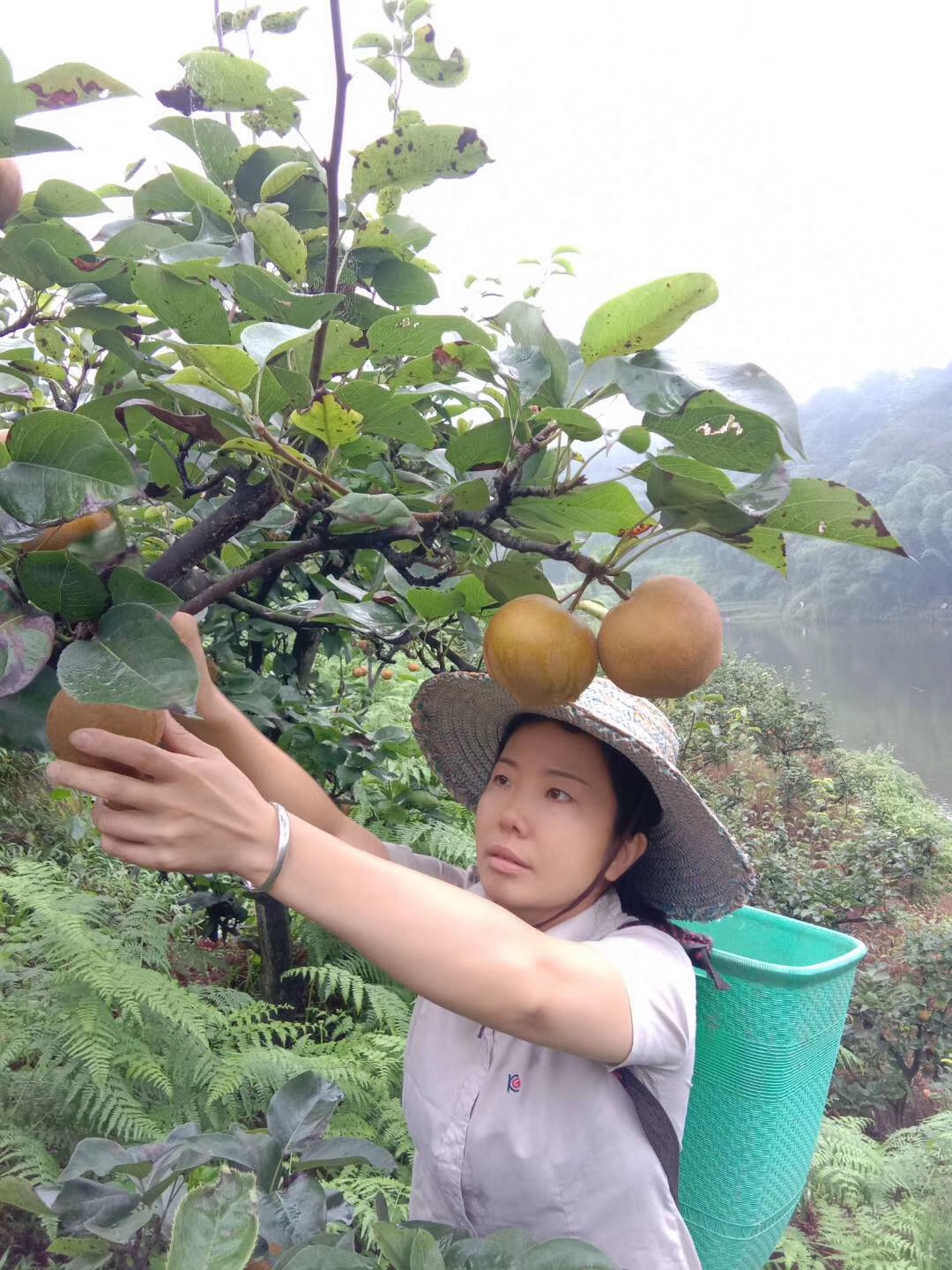 江安县方程生态农业专业合作社